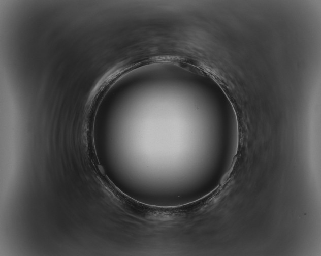 X0000087750341200705071117