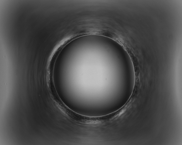 X0000087750342200705071117