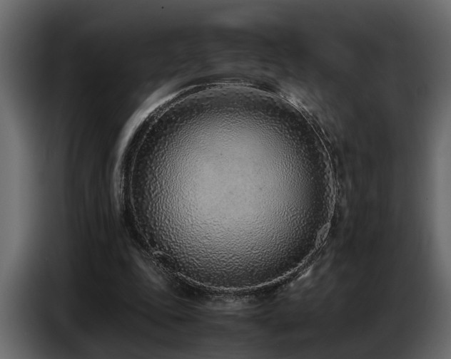 X0000087750343200705071117