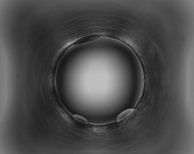 X0000087750345200705071117