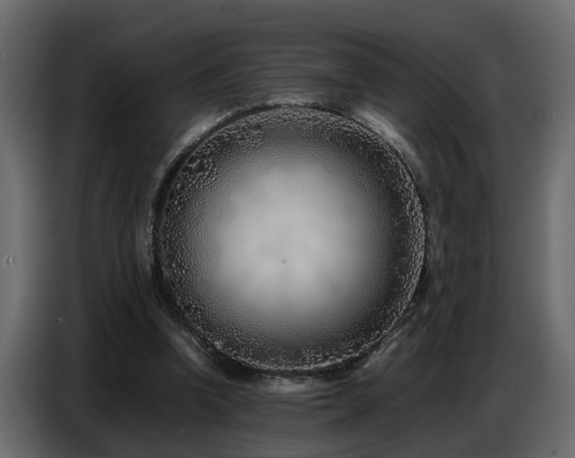 X0000087750346200705071117