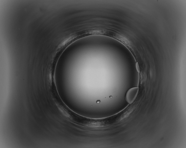 X0000087750349200705071117