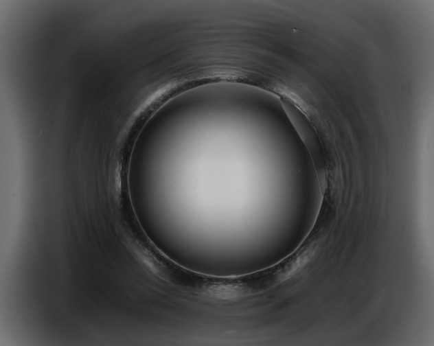 X0000087750350200705071117