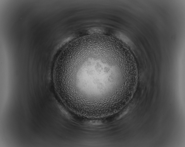 X0000087750353200705071118