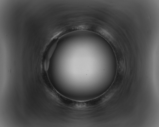 X0000087750355200705071118