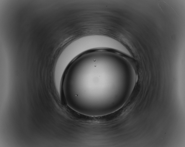 X0000087750356200705071118