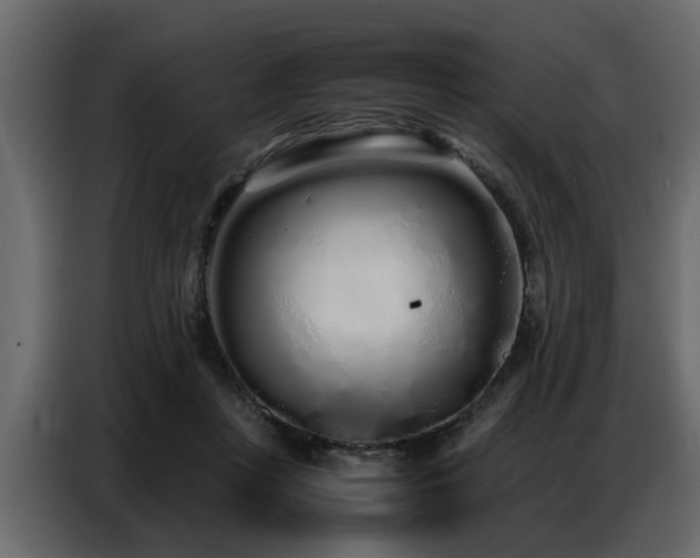 X0000087750359200705071118