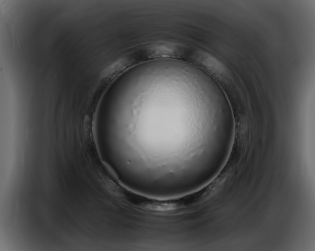 X0000087750361200705071118