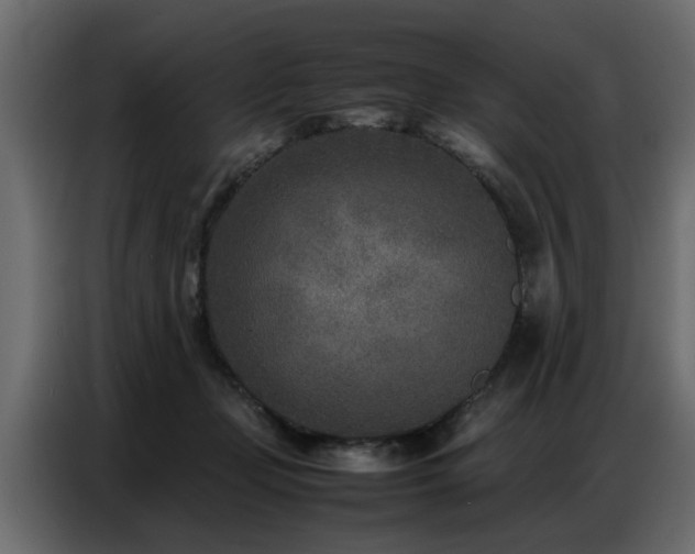 X0000087750365200705071118