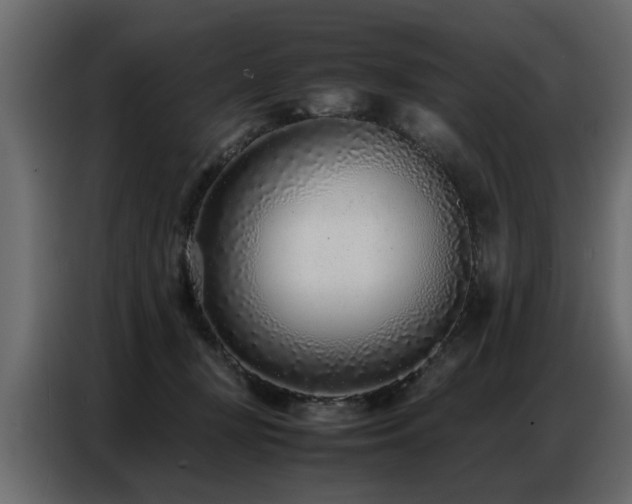 X0000087750367200705071118