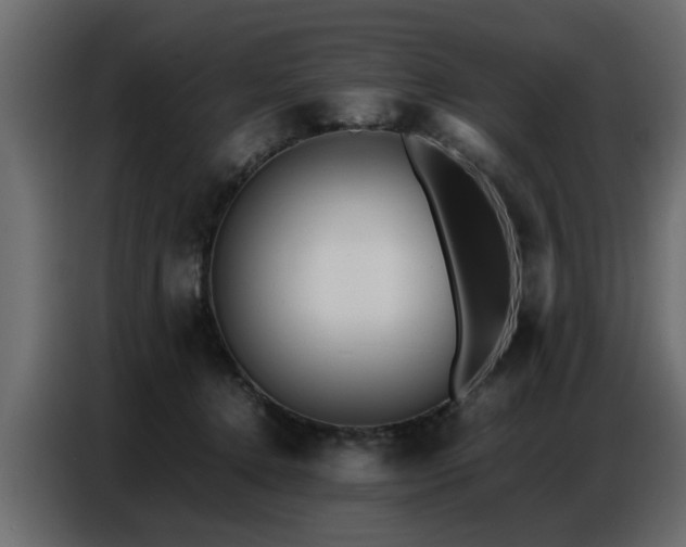 X0000087750368200705071118