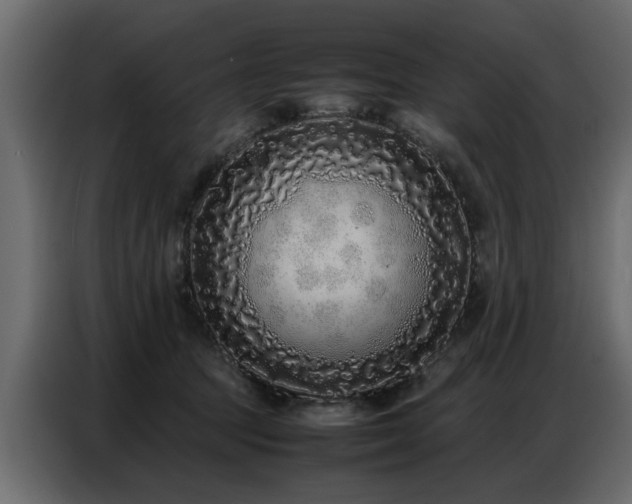 X0000087750369200705071118