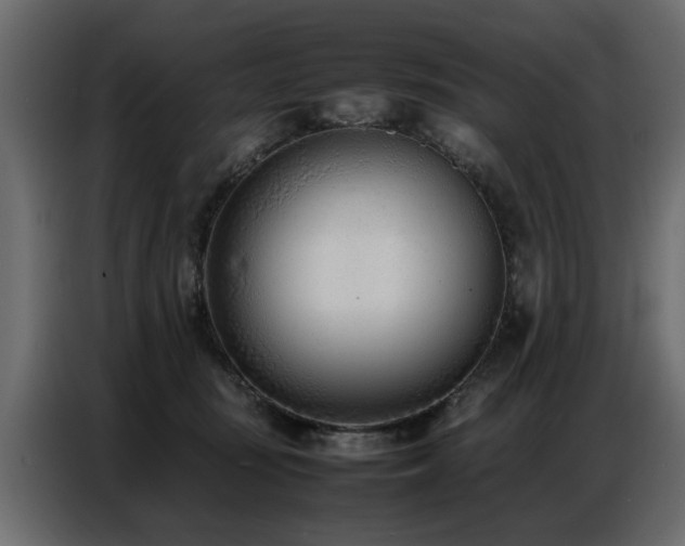 X0000087750371200705071118