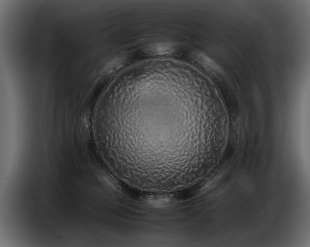 X0000087750373200705071118