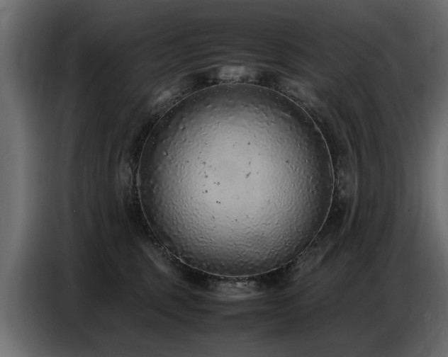X0000087750375200705071118
