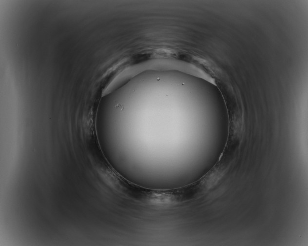 X0000087750376200705071118