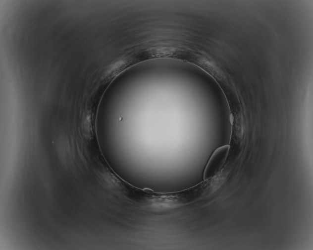 X0000087750378200705071118