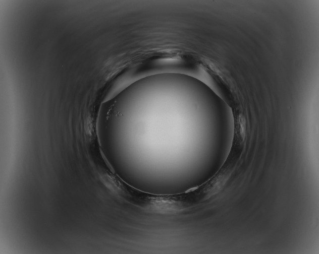 X0000087750380200705071118