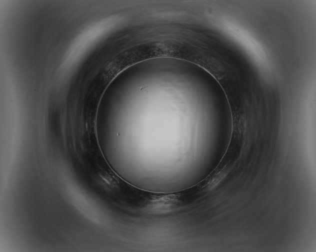 X0000087750382200705071118