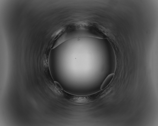 X0000087750384200705071118