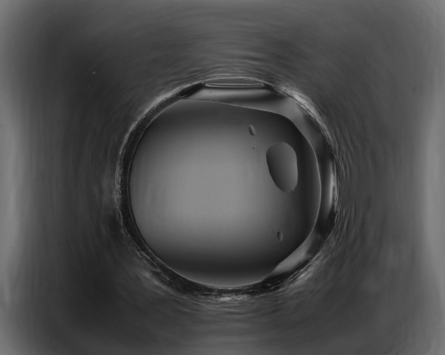 X0000087750387200705071117