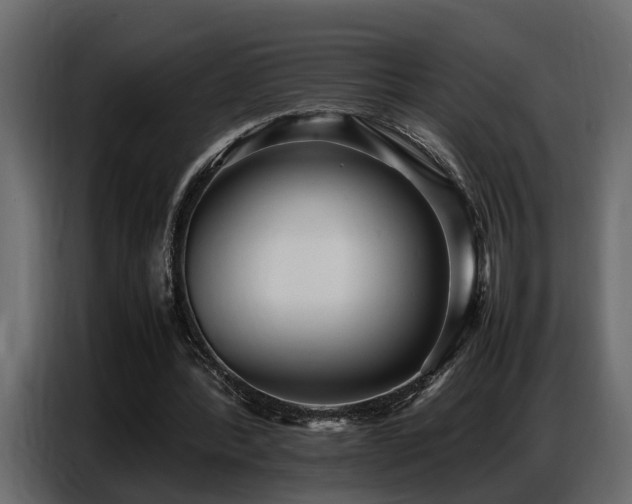 X0000087750388200705071117