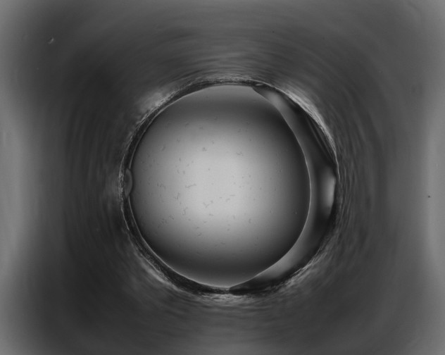 X0000087750389200705071117
