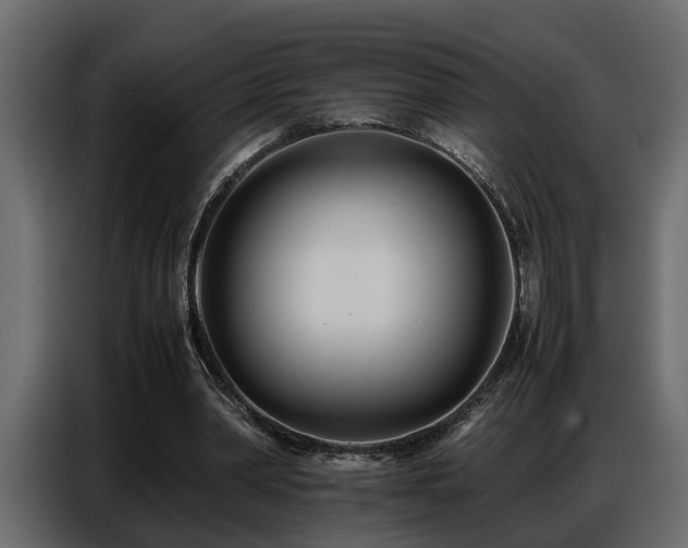 X0000087750390200705071117
