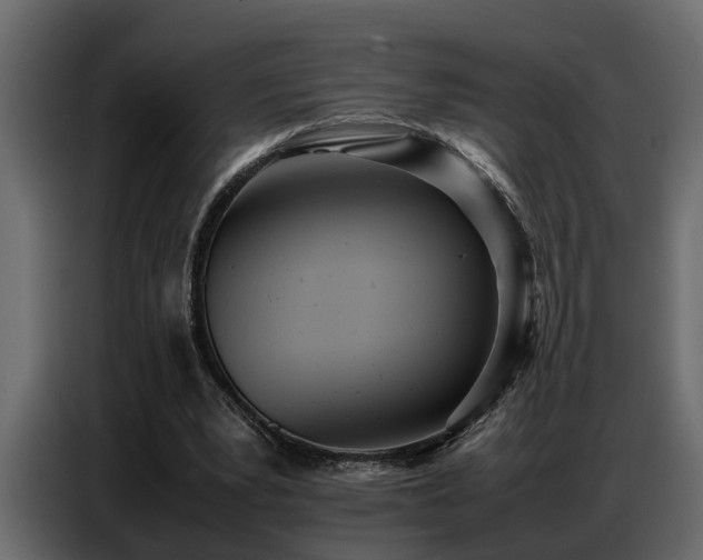 X0000087750391200705071117