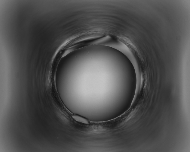 X0000087750392200705071117