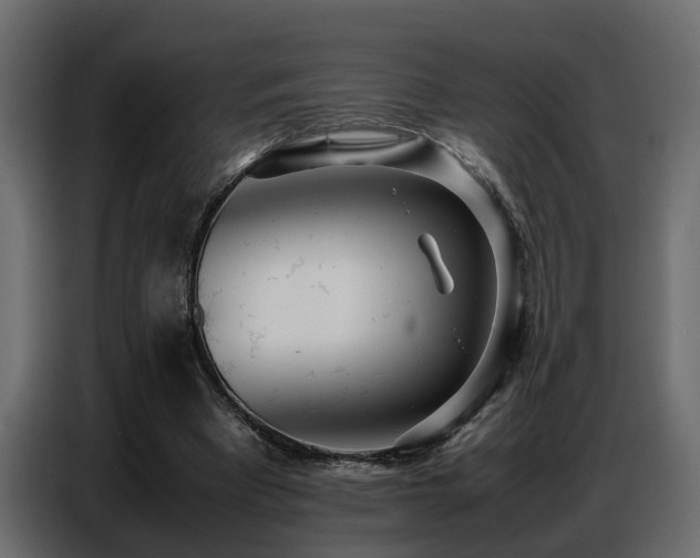 X0000087750393200705071117