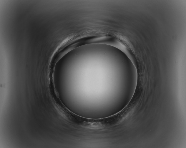 X0000087750395200705071117