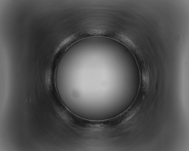 X0000087750396200705071117