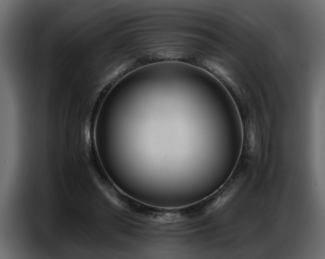 X0000087750398200705071117