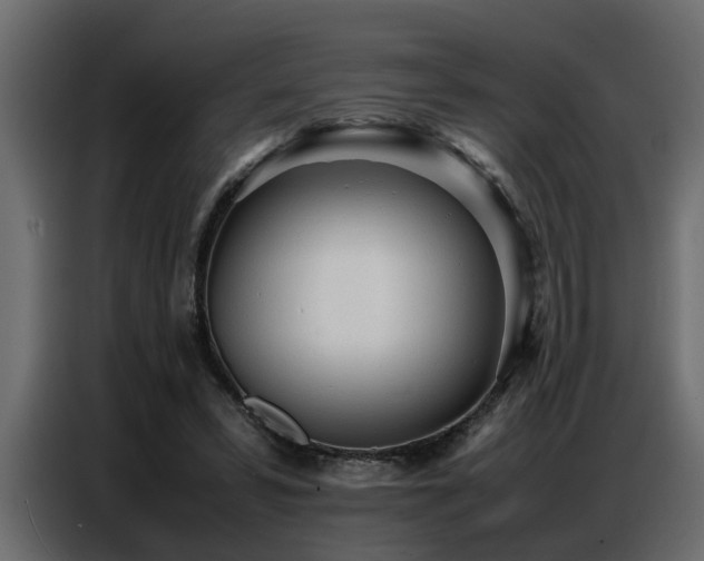 X0000087750399200705071117