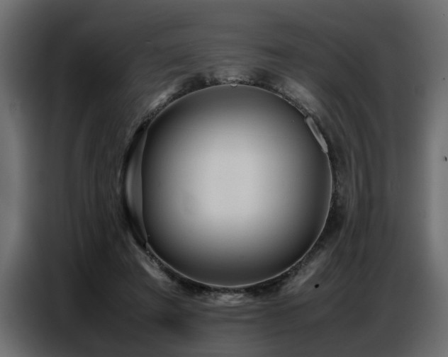 X0000087750401200705071117