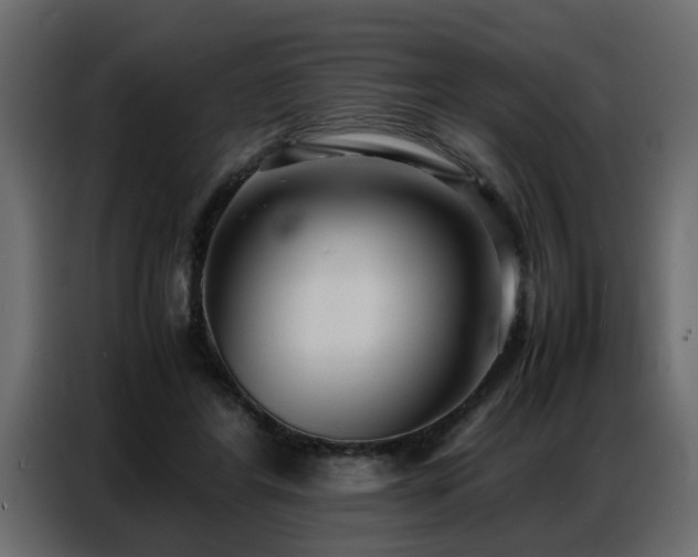 X0000087750404200705071117