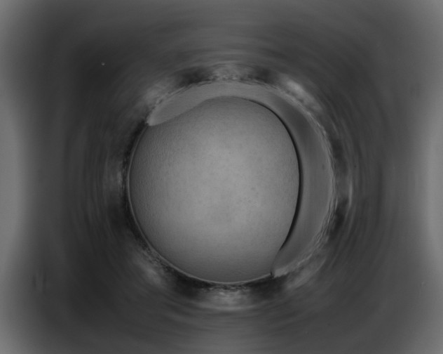 X0000087750405200705071117