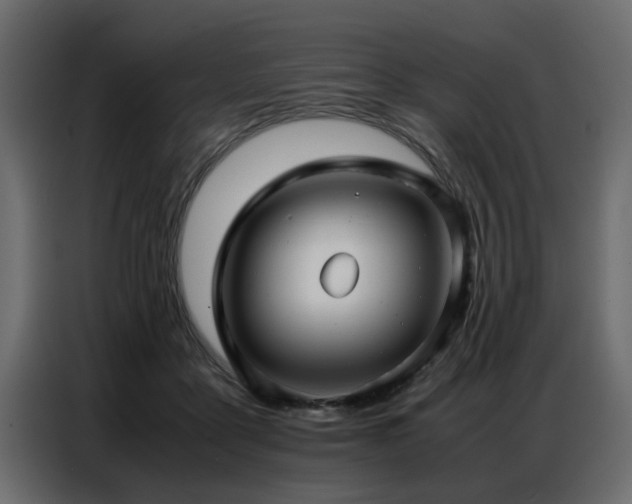 X0000087750411200705071117
