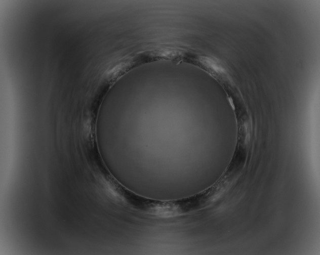 X0000087750415200705071117