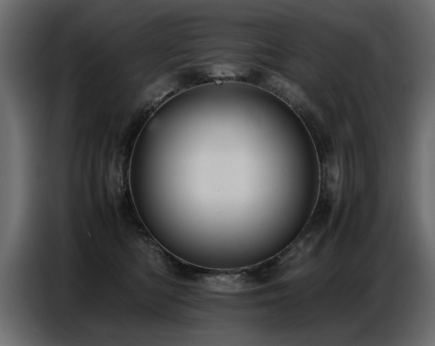 X0000087750422200705071117