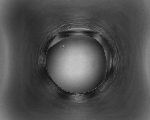 X0000087750425200705071117