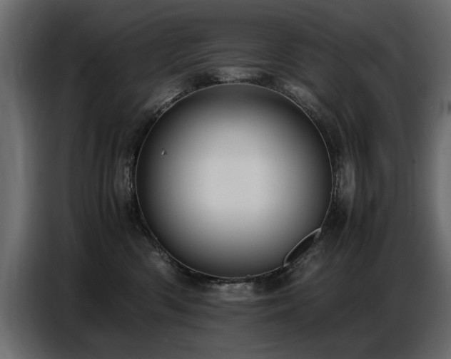X0000087750426200705071117
