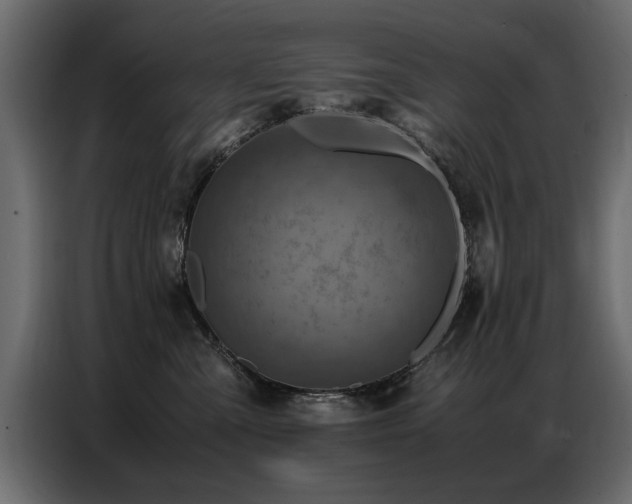 X0000087750427200705071117