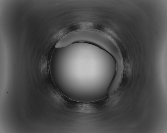 X0000087750428200705071117