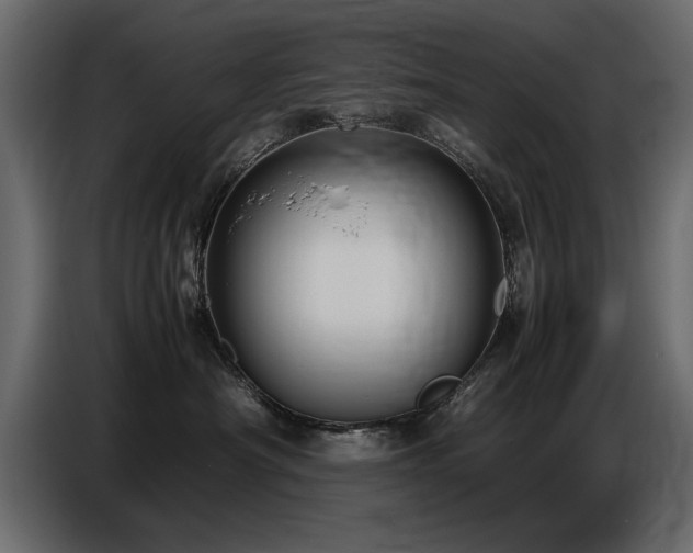 X0000087750430200705071117