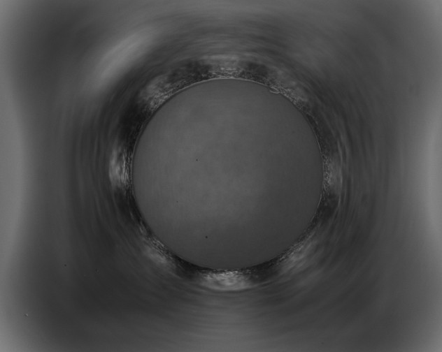 X0000087750431200705071117