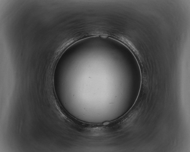 X0000087750433200705071116