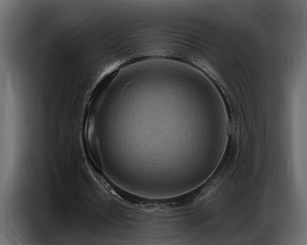 X0000087750434200705071116