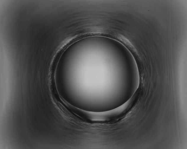 X0000087750436200705071116